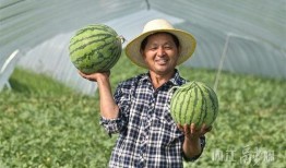 扎西枫丹娱乐吃瓜作品,揭秘娱乐圈背后的“吃瓜”故事